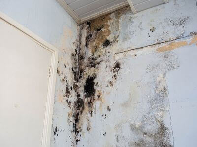 About water damage restoration service - storm damage restoration experts in El Cajon